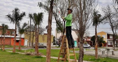 El Municipio realizó trabajos de forestación y parquización en el barrio Villa Jardín El Municipio realizó trabajos de forestación y parquización en el barrio Villa Jardín