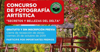 Tigre lanza el concurso fotográfico “Secretos y bellezas del Delta” Tigre lanza el concurso fotográfico “Secretos y bellezas del Delta”