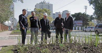 La Quinta de Olivos renueva sus frentes a Maipú y Libertador La Quinta de Olivos renueva sus frentes a Maipú y Libertador