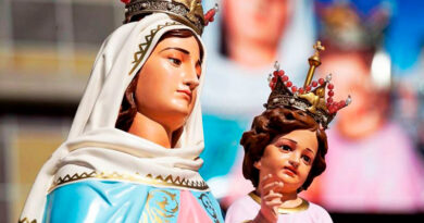 La virgen del Rosario de San Nicolás La virgen del Rosario de San Nicolás