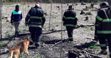 El Municipio y Bomberos extinguieron un incendio en el Delta de San Fernando El Municipio y Bomberos extinguieron un incendio en el Delta de San Fernando