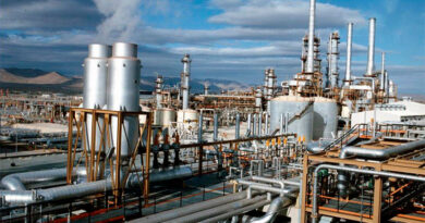 En agosto el sector químico y petroquímico continuó con una leve recuperación En agosto el sector químico y petroquímico continuó con una leve recuperación