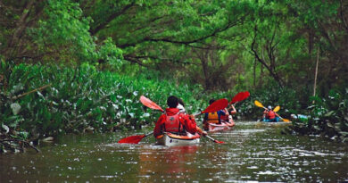 Verano 2021: Tigre brinda recomendaciones para navegar y disfrutar del Delta de forma segura Verano 2021: Tigre brinda recomendaciones para navegar y disfrutar del Delta de forma segura