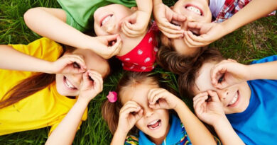 Principales vulneraciones de los derechos de niñas, niños y adolescentes Principales vulneraciones de los derechos de niñas, niños y adolescentes