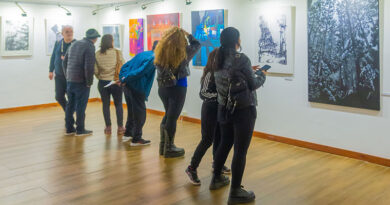 Gran cantidad de público y artistas participaron de la 27° edición del Salón Primavera de San Fernando