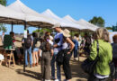 Llega una feria navideña a la costa de Vicente López