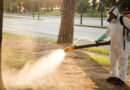 Campaña integral para prevenir el dengue