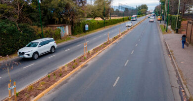 San Isidro renovó por completo el boulevard Márquez San Isidro renovó por completo el boulevard Márquez