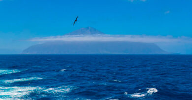 Atlántico Sur: la exploración offshore entra en una etapa decisiva para la Argentina