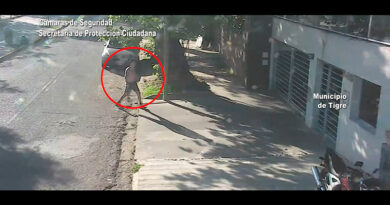 Hechos delictivos y de seguridad en Tigre Hechos delictivos y de seguridad en Tigre