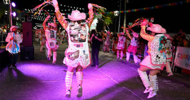 Carnavales de Tigre 2026 en Troncos del Talar: la segunda jornada se vivió con gran alegría Carnavales de Tigre 2026 en Troncos del Talar: la segunda jornada se vivió con gran alegría