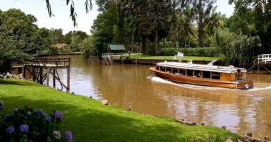 Una Escapada por las Islas del Delta