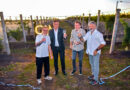 Bodega Gamboa” expande el mapa vitivinícola de la provincia de Buenos Aires