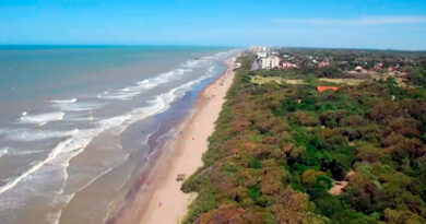 La playa del ‘millón de pinos’ La playa del ‘millón de pinos’