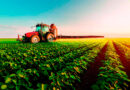 “El agro podría crecer 90% en  diez años y llevar su aporte al 45% del PBI si se eliminan las retenciones”