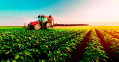 “El agro podría crecer 90% en diez años y llevar su aporte al 45% del PBI si se eliminan las retenciones” “El agro podría crecer 90% en diez años y llevar su aporte al 45% del PBI si se eliminan las retenciones”