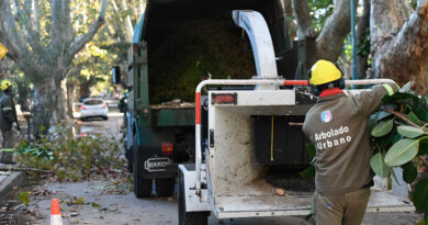 Vicente López: continúa abierta la inscripción al Plan de Poda 2026