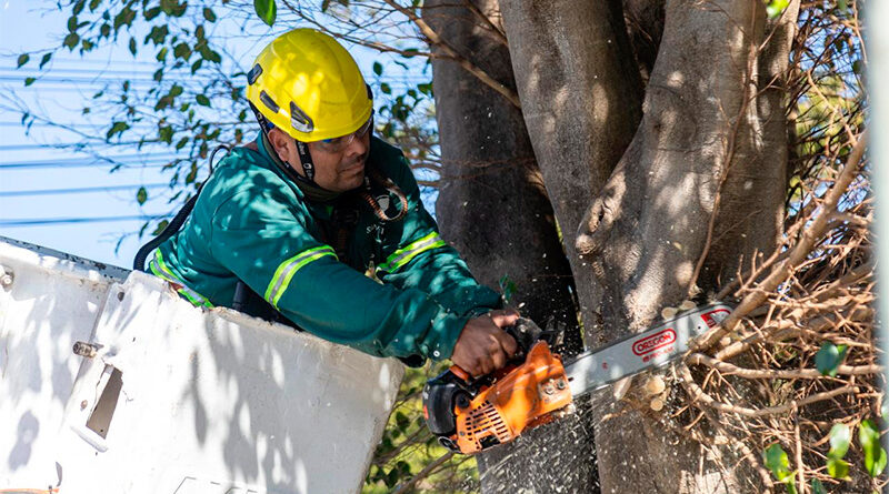 San Isidro avanza con su primer Censo de Arbolado