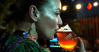 Llega un nuevo VILO Cervecero con promociones, shows en vivo y recorridos por fábricas artesanales