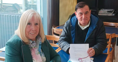 Acerca de la Cátedra Confucio