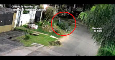 Ilícito captado por las cámaras del COT: los malvivientes fueron detenidos Ilícito captado por las cámaras del COT: los malvivientes fueron detenidos