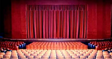 Programación del Teatro Niní Marshall