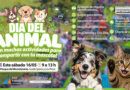 El sábado, San Fernando festejará el Día del Animal con muchas actividades El sábado, San Fernando festejará el Día del Animal con muchas actividades