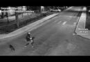 Hurtó una bicicleta de niño en la madrugada y quedó detenido por el COT