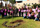 En una jornada de concientización, reflexión y memoria colectiva, el Municipio conmemoró el undécimo aniversario del movimiento #NiUnaMenos