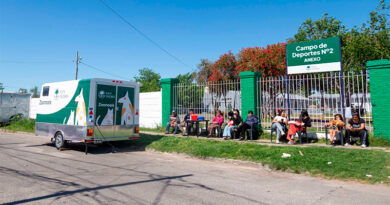 Aumentaron un 17% las castraciones de perros y gatos Aumentaron un 17% las castraciones de perros y gatos