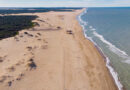 La playa que está a 4 horas de Buenos Aires y está escondida dentro de un bosque
