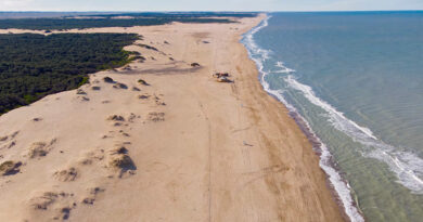 La playa que está a 4 horas de Buenos Aires y está escondida dentro de un bosque La playa que está a 4 horas de Buenos Aires y está escondida dentro de un bosque