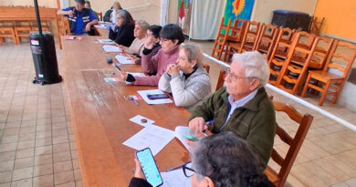 Los adultos mayores de Tigre participaron de un taller de fortalecimiento de la memoria y de inclusión digital