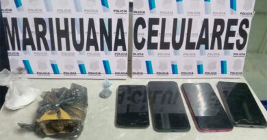 Allanamientos permitieron secuestrar drogas y un arma de fuego Allanamientos permitieron secuestrar drogas y un arma de fuego