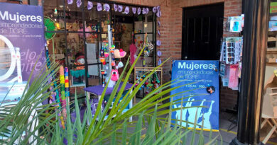 Abierta la convocatoria a artesanas para el programa Mujeres Emprendedoras del Municipio de Tigre Abierta la convocatoria a artesanas para el programa Mujeres Emprendedoras del Municipio de Tigre