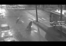 Imprudencia al volante: un motorista atropelló a una vecina en Don Torcuato