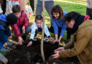 “Educación en las plazas”: la recreativa propuesta del Municipio que acercó a los niños y niñas en sus vacaciones de invierno