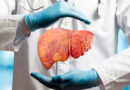 Identifican una nueva vía para potenciar la inmunoterapia contra el cáncer de hígado Identifican una nueva vía para potenciar la inmunoterapia contra el cáncer de hígado