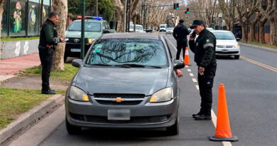 Hubo 240 detenidos durante agosto y casi 8 de cada 10 comunicaciones de seguridad llegaron directamente al Municipio