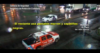 Hechos delictivos y de seguridad en Tigre
