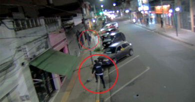 Robó caños de gas, intentó escapar y las cámaras de ESCUDO lo delataron Robó caños de gas, intentó escapar y las cámaras de ESCUDO lo delataron