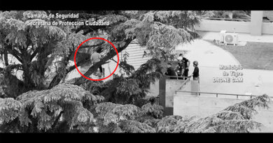 El miedo a las alturas paralizó al ladrón: ingresó a un domicilio para robar pero al intentar escapar quedó atrapado en un árbol El miedo a las alturas paralizó al ladrón: ingresó a un domicilio para robar pero al intentar escapar quedó atrapado en un árbol